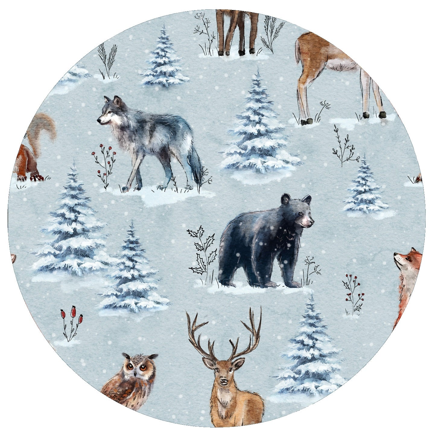 Woodland Wonders
