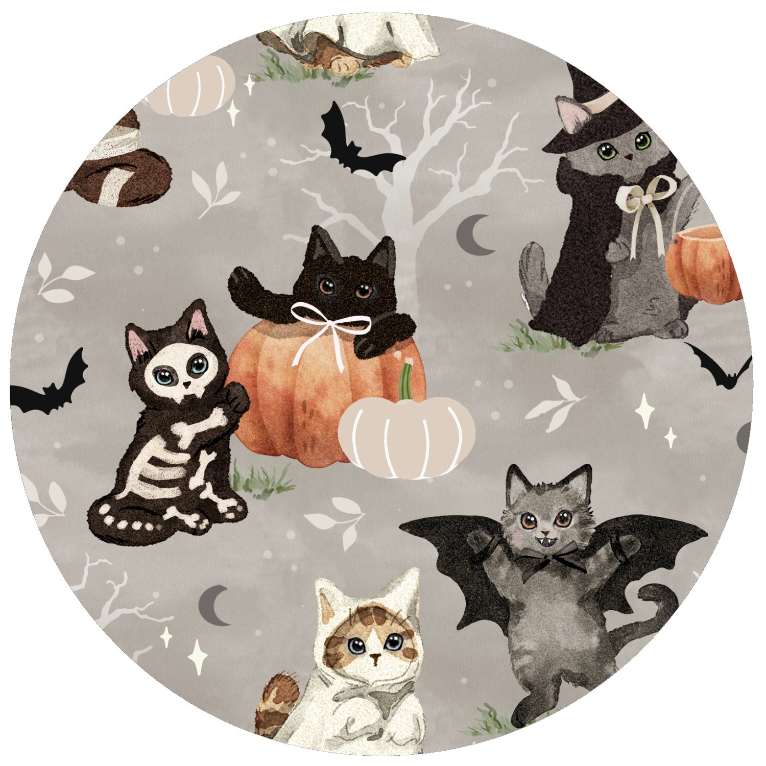 Boo Crew Kittens