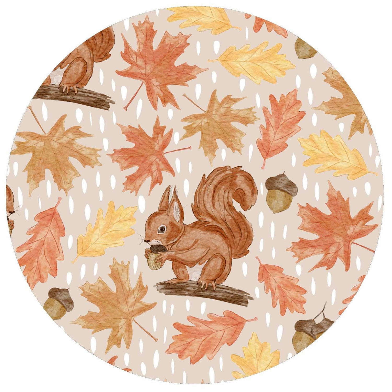 Acorn Trails