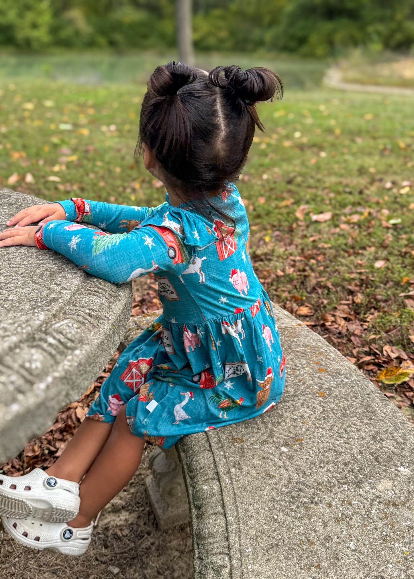 On the Farm Twirl Dress