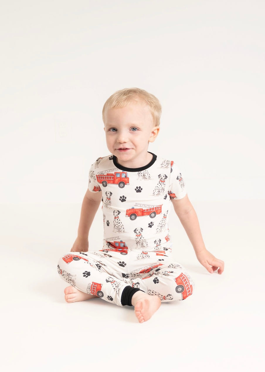 Paws & Ladders 2 Piece Set